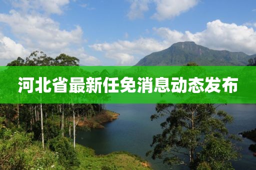 河北省最新任免消息动态发布