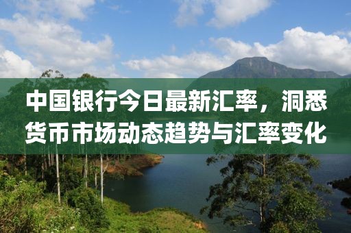 中国银行今日最新汇率，洞悉货币市场动态趋势与汇率变化