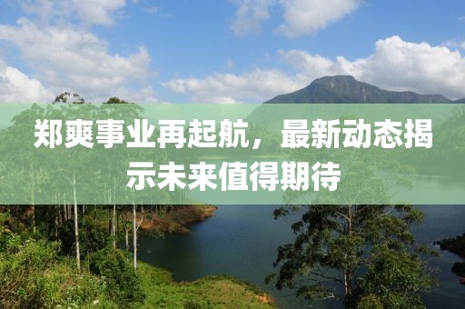 郑爽事业再起航，最新动态揭示未来值得期待