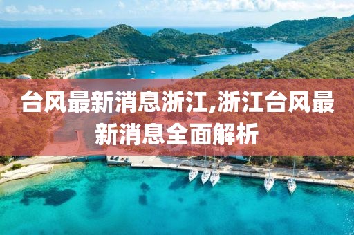 台风最新消息浙江,浙江台风最新消息全面解析