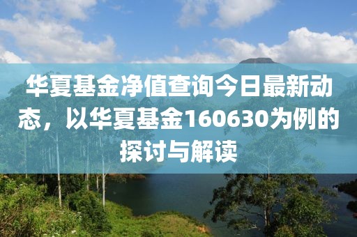 华夏基金净值查询今日最新动态，以华夏基金160630为例的探讨与解读