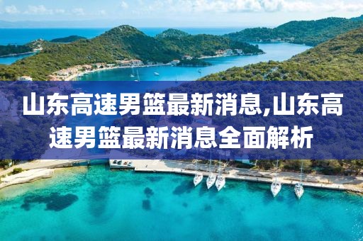 山东高速男篮最新消息,山东高速男篮最新消息全面解析