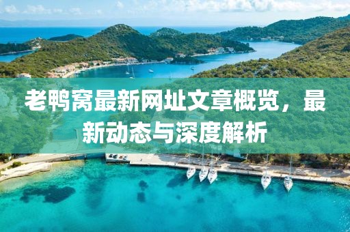 老鸭窝最新网址文章概览，最新动态与深度解析