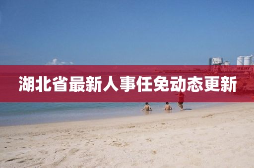 湖北省最新人事任免动态更新