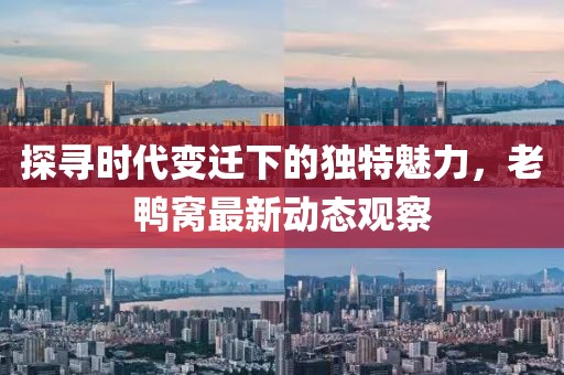 探寻时代变迁下的独特魅力，老鸭窝最新动态观察