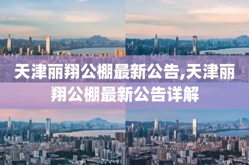 天津丽翔公棚最新公告,天津丽翔公棚最新公告详解