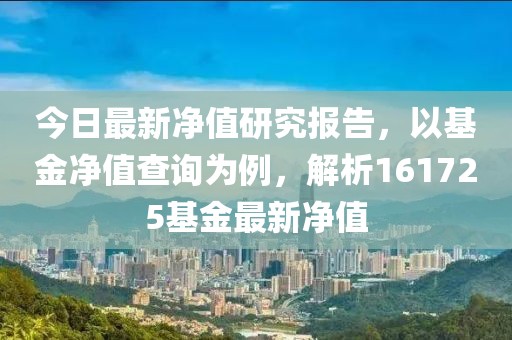 今日最新净值研究报告，以基金净值查询为例，解析161725基金最新净值