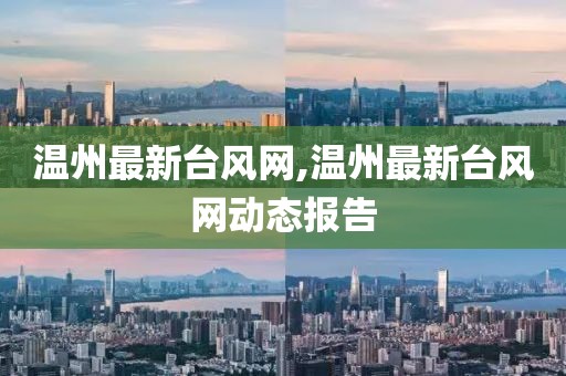 温州最新台风网,温州最新台风网动态报告