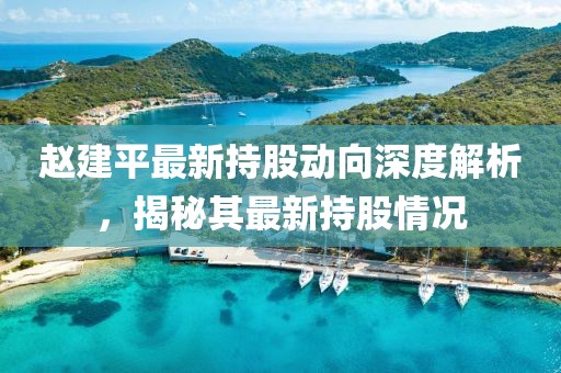 赵建平最新持股动向深度解析，揭秘其最新持股情况