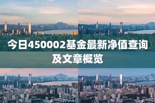 今日450002基金最新净值查询及文章概览