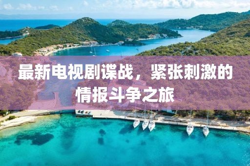 最新电视剧谍战，紧张刺激的情报斗争之旅