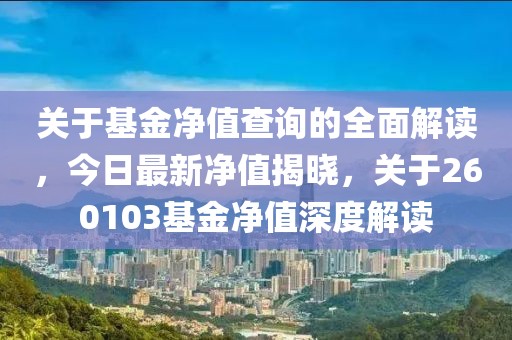 关于基金净值查询的全面解读，今日最新净值揭晓，关于260103基金净值深度解读