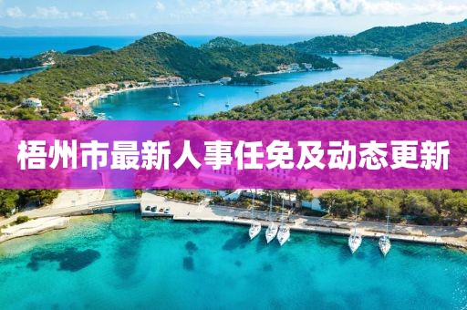 梧州市最新人事任免及动态更新