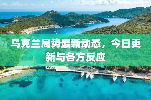 乌克兰局势最新动态，今日更新与各方反应