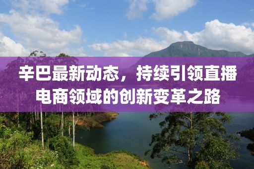 辛巴最新动态，持续引领直播电商领域的创新变革之路