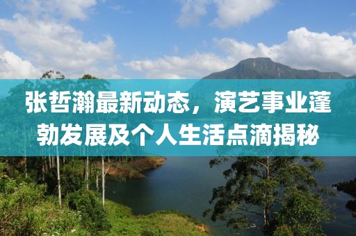 张哲瀚最新动态，演艺事业蓬勃发展及个人生活点滴揭秘