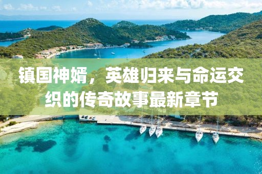 镇国神婿，英雄归来与命运交织的传奇故事最新章节