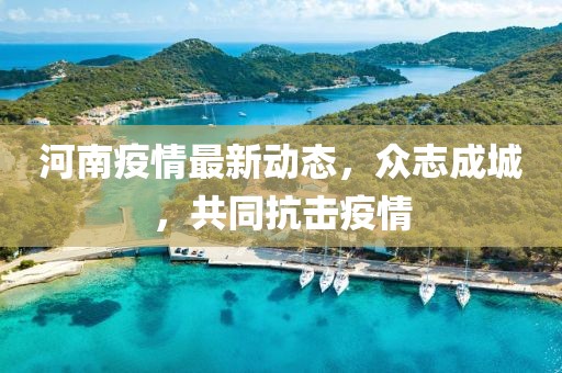 河南疫情最新动态，众志成城，共同抗击疫情