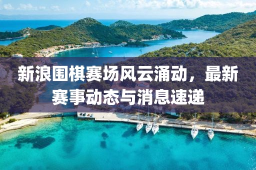 新浪围棋赛场风云涌动，最新赛事动态与消息速递